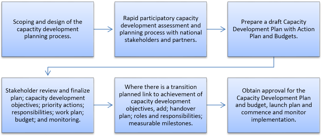 capacity development and transition planning process