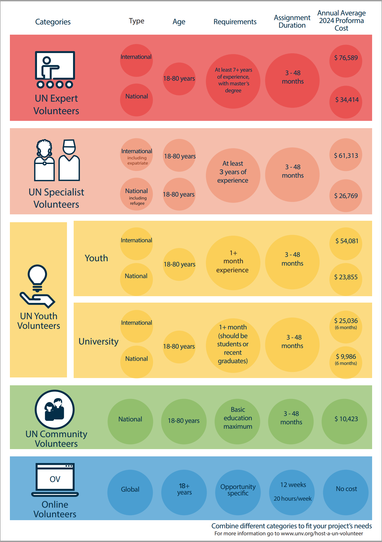 UN Volunteer categories